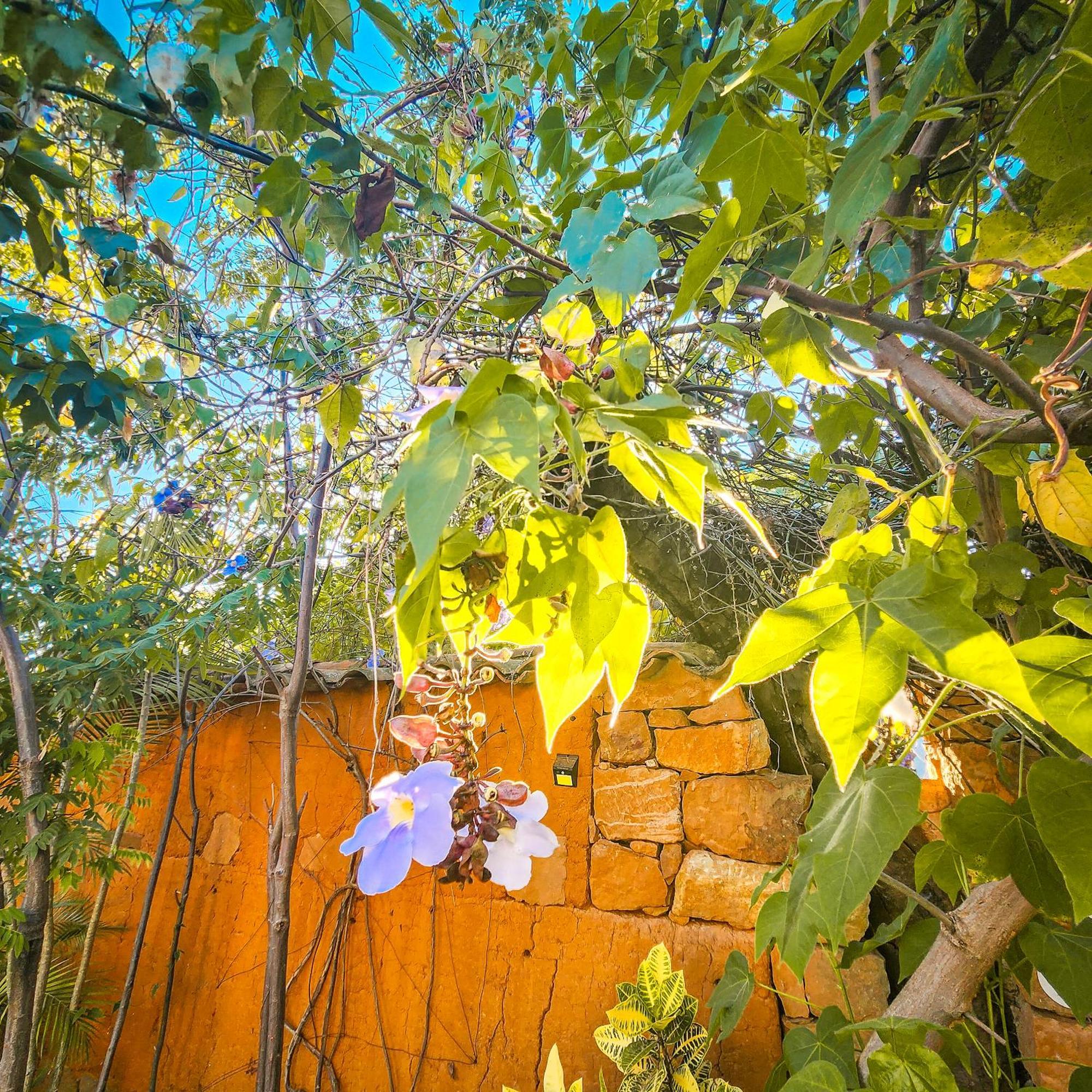 Hotel Casa Canela Barichara Exterior foto